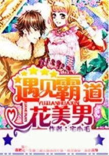 Meet the Domineering Handsome Boy