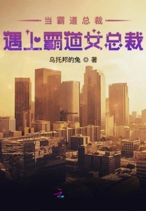 When a Domineering Ceo Meets a Domineering Female Ceo