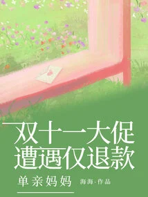 Double Eleven Promotion Encounters Only Refunds for Single Mothers