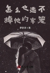 Mr. Shi's Desire for Control