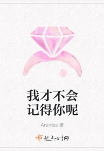 I Won't Remember You