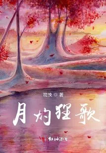 Moonlight Raccoon Song