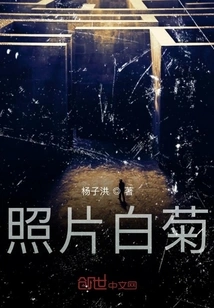 Photo White Chrysanthemum