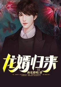 Long Son-in-law Returns