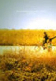 Dream About Fleeting Time