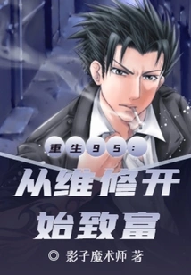 Rebirth 95: Get Rich Starting from Repairs