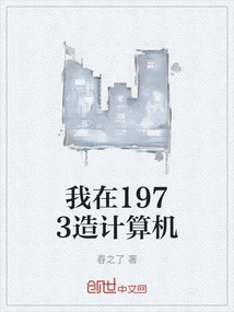 I Built Computers in 1973