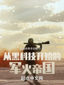 An Arms Empire That Started with Black Technology