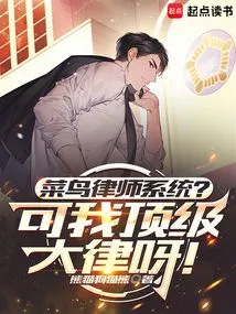 Rookie Lawyer System? but My Top Law!