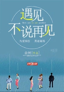 Meet, Don't Say Goodbye