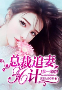 The First Favorite Marriage: the Ceo's 36 Strategies to Chase His Wife