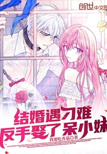 When I Encountered Difficulties in Getting Married, I Married the Stupid Girl Backhandedly