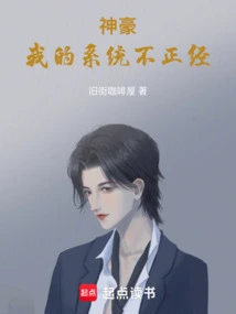 Shenhao: My System is Not Serious