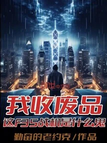 I Collect Scraps. What the Hell is This F35 Fighter Jet?