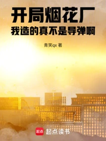 In the Fireworks Factory at the Beginning, What I Built is Really Not a Missile