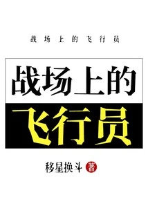 Pilot on the Battlefield