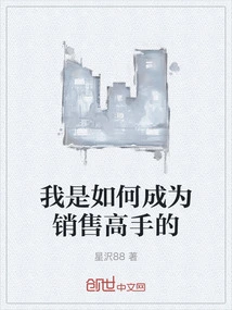 How I Became a Sales Guru