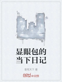 The Current Diary of a Conspicuous Bag