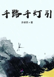 Thousands of Roads Lead to Thousands of Lights