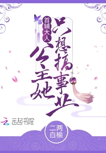 Lord Chief Assistant, the Princess Just Wants to Have a Career!