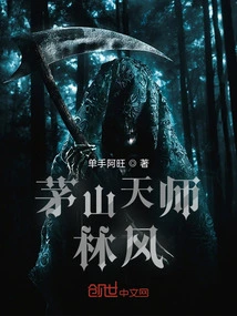 Lin Feng, a Young Man from Beizong