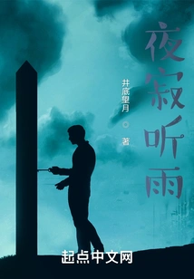 Silent Night Listening to the Rain