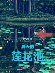 Lotus Pond in Summer