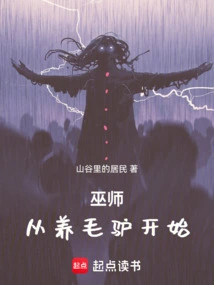 The Wizard Started by Raising Donkeys