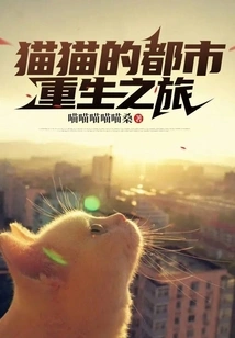 Cat's Journey to Urban Rebirth