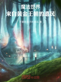 Wizarding World: Remnants of the Golden Dynasty