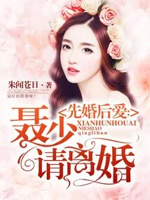 Marriage First, Love Later: Mr. Nie, Please Get a Divorce