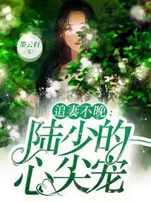 It's Never Too Late to Chase Your Wife: Mr. Lu's Favorite