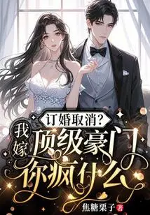 Engagement Called Off? Why Are You Crazy If I Marry a Top Wealthy Family?