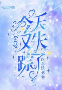 My Wife Disappeared Again Today