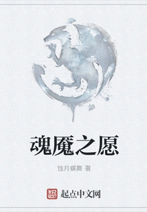 Soul Nightmare's Wish