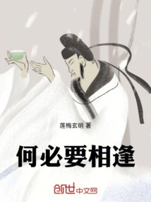 Why Do We Need to Meet?