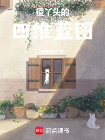 Orange Girl's Four-dimensional Blueprint