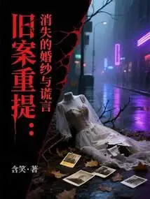 Old Cases Revisited: Missing Wedding Dresses and Lies