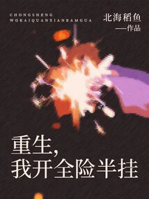 Rebirth, I Drive Full Insurance and Semi Insurance