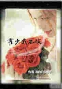 Mr. Huo, I Won't Marry