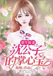 The Reborn Wife, Mr. Shen's Treasure