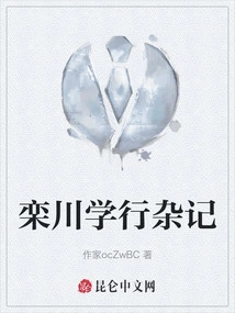 Miscellaneous Notes on Luan Chuan's Academic Practice