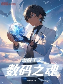 One Piece Digital Soul