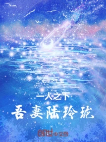 Under One Person: My Wife Lu Linglong