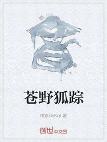 Fox Traces in the Wilderness