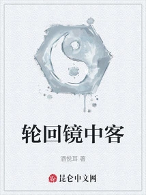 Guest in the Mirror of Reincarnation