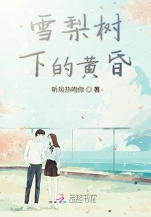 Dusk under the Sydney Trees