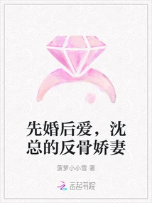 Marriage First, Love Later, Mr. Shen's Rebellious Wife