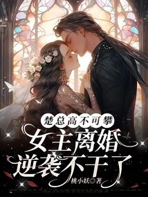 Mr. Chu is Unattainable, and the Heroine Gets Divorced and Quits!
