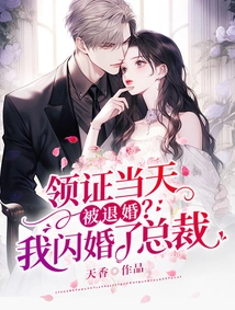 Was the Engagement Annulled on the Day I Received the Certificate? I Had a Flash Marriage with the Ceo